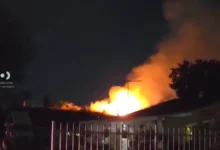 A map graphic pinpointing the 6500 block of Purdy Avenue.