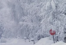 How to Stay Safe During a Winter Storm: 2026 Survival Guide