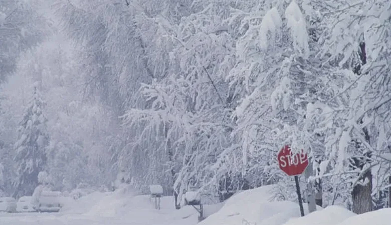 How to Stay Safe During a Winter Storm: 2026 Survival Guide