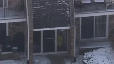 Emergency scene in Downers Grove where a pregnant mother was stabbed before a fire.