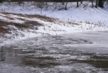 Frozen pond similar to where three brothers die in Texas ice accident.