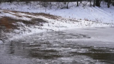 Frozen pond similar to where three brothers die in Texas ice accident.