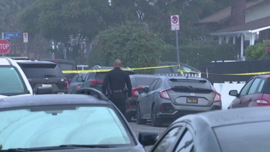 Police scene where a woman found dead inside North Hollywood home resulted in an arrest.