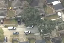HCSO investigates a woman found dead Grassy Creek Drive in Houston.