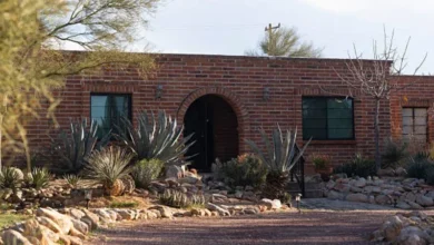 Potential evidence found in the Nancy Guthrie investigation near her home.