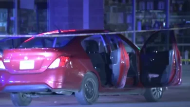 Chicago Ashburn shooting location South Kedzie Avenue