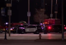 Milwaukee Police responding after a body found at American Family Field parking lot