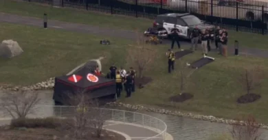 Police and emergency crews investigate body found in pond in Elk Grove Village Illinois