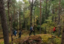 Search crews respond to lost hikers near Mulholland Drive in Los Angeles hills