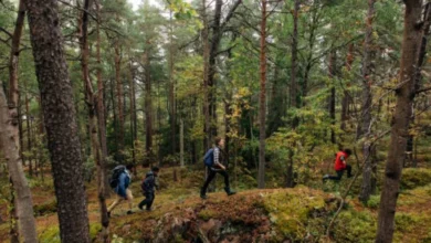 Search crews respond to lost hikers near Mulholland Drive in Los Angeles hills