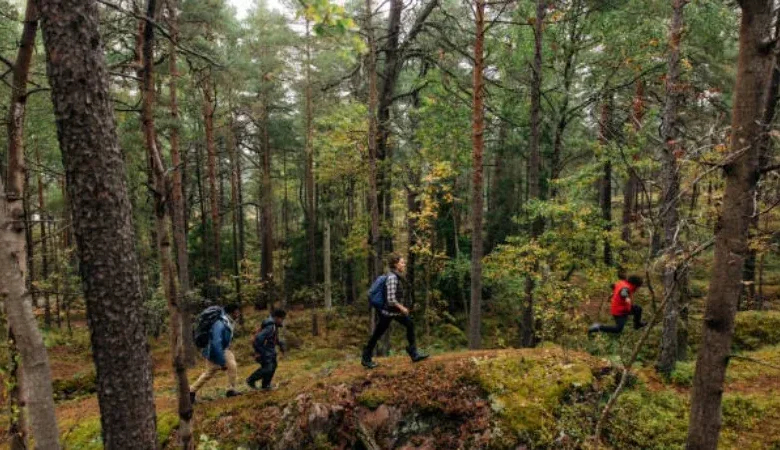 Search crews respond to lost hikers near Mulholland Drive in Los Angeles hills