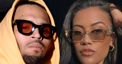 Chris Brown custody dispute