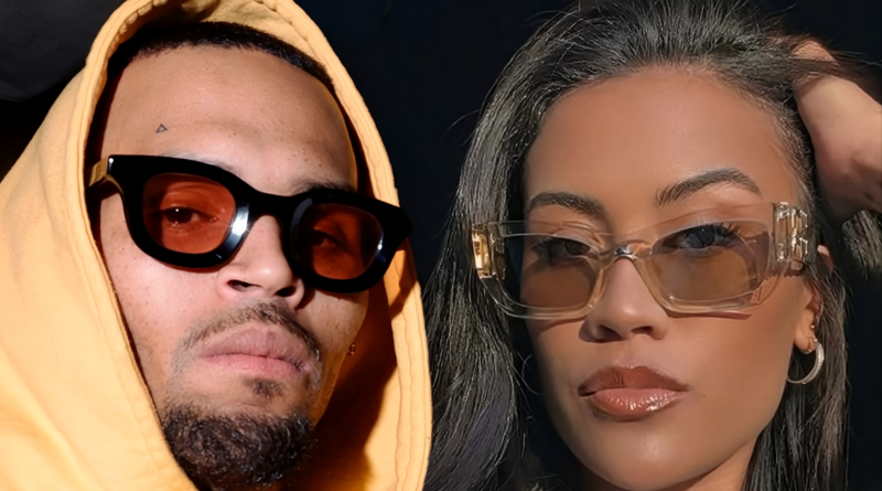 Chris Brown custody dispute