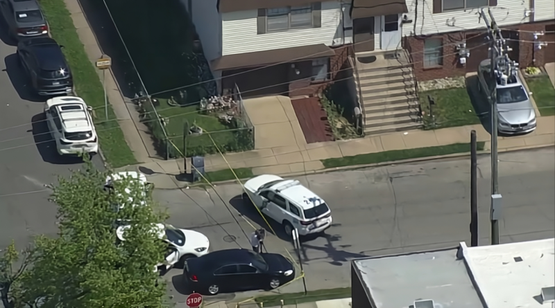 A 45-year-old mother of four, Keisha Farlow, was brutally attacked and killed with a brick in a North Philadelphia alleyway.
