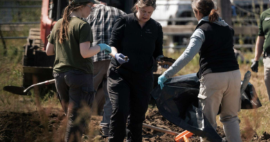 Over 100 Dogs Found Dead at Northern California Animal Rescue