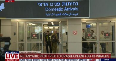 Flydubai plane makes emergency landing after co-pilot tries to crash jetliner