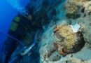 Archaeologists in Turkey may have found the world’s oldest shipwreck