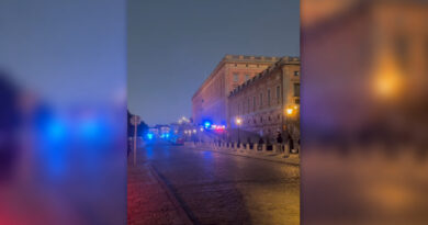 Police shoot knife-wielding man outside Sweden’s Royal Palace