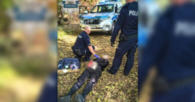 9 injured in knife attack at school and nearby park in Poland