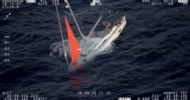 Watch: Yacht sinks after hitting pod of whales, crew rescued hours later