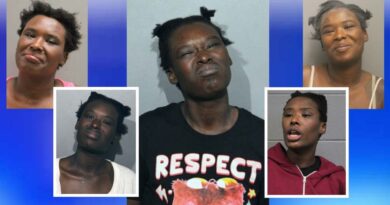Woman gets 3-year sentence for random downtown attacks, including Holiday incident at Macy’s – CWB Chicago