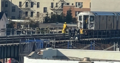 No. 6 Train at Bronx Subway Station
