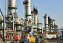 OPEC+ to Maintain Current Oil Production Levels in November