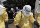 Africa faces ‘complex’ Ebola outbreak after virus spread to Nigeria: WHO Africa chief