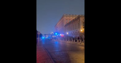 Swedish police say armed man was shot outside royal palace