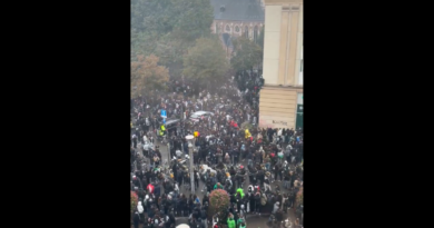 Chaotic scenes as police, youths face off at Brussels protest