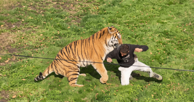 Yorkshire Wildlife Park