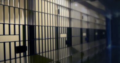 Chicago-area man sentenced for staged robberies to help visa applicants: feds