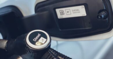 France to release diesel stocks to ease fuel prices: PM