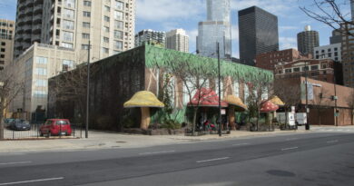 Rainforest Cafe property owner ordered to pay $11.5 million on loan
