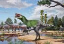 New long-clawed dinosaur species identified from century-old fossil in museum drawer