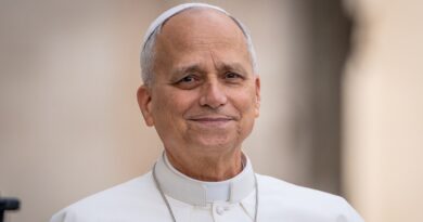 Pope Leo becomes first pope to vote in a US general election