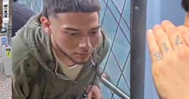 Police seek 3 who beat and dragged elderly man off CTA Red Line train