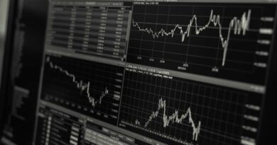 Brazilian stock market plunges nearly 17% after Lula win
