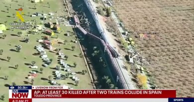 Dozens killed after two high-speed trains collide in central Spain